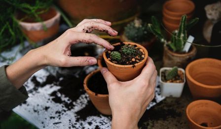 A photo of woman planting a new plant.