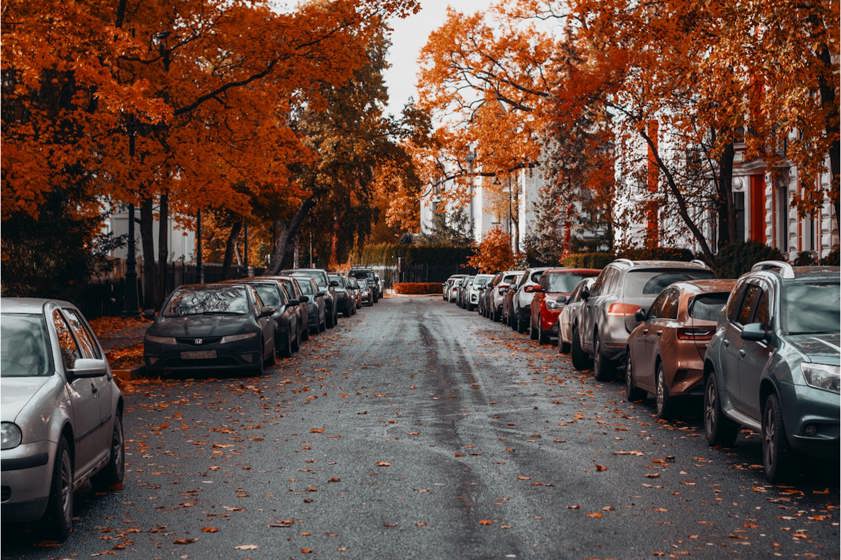 cars parked on the side of a suburban road during autumn