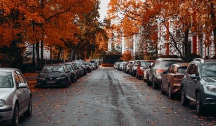 cars parked on the side of a suburban road during autumn
