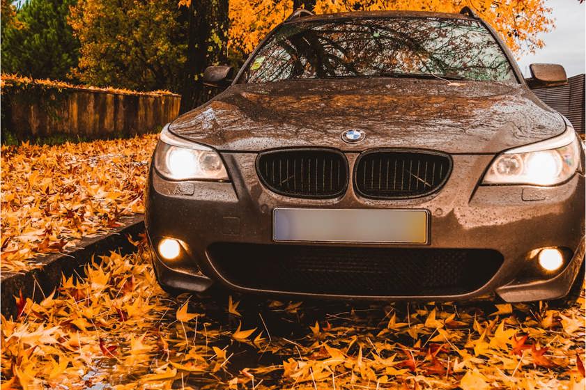 BMW parked on the side of the road surrounded by brown leaves