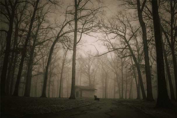 Haunted Drives: Exploring Spooky Roads and Locations Perfect for Halloween