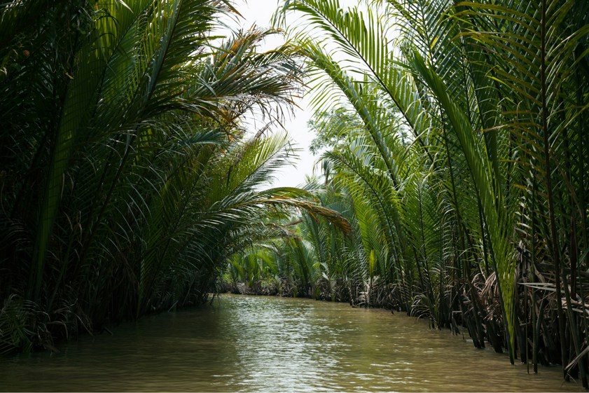 Mekong Delta