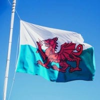 welsh flag flying on pole