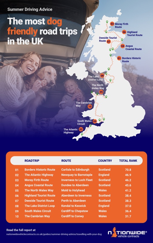 infographic showing dog friendly road trips