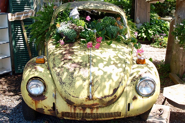 The Car as A Tool in Gardening: From Transporting Plants to Mowing Lawns