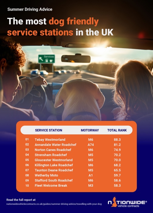 infographic showing dog friendly service stations