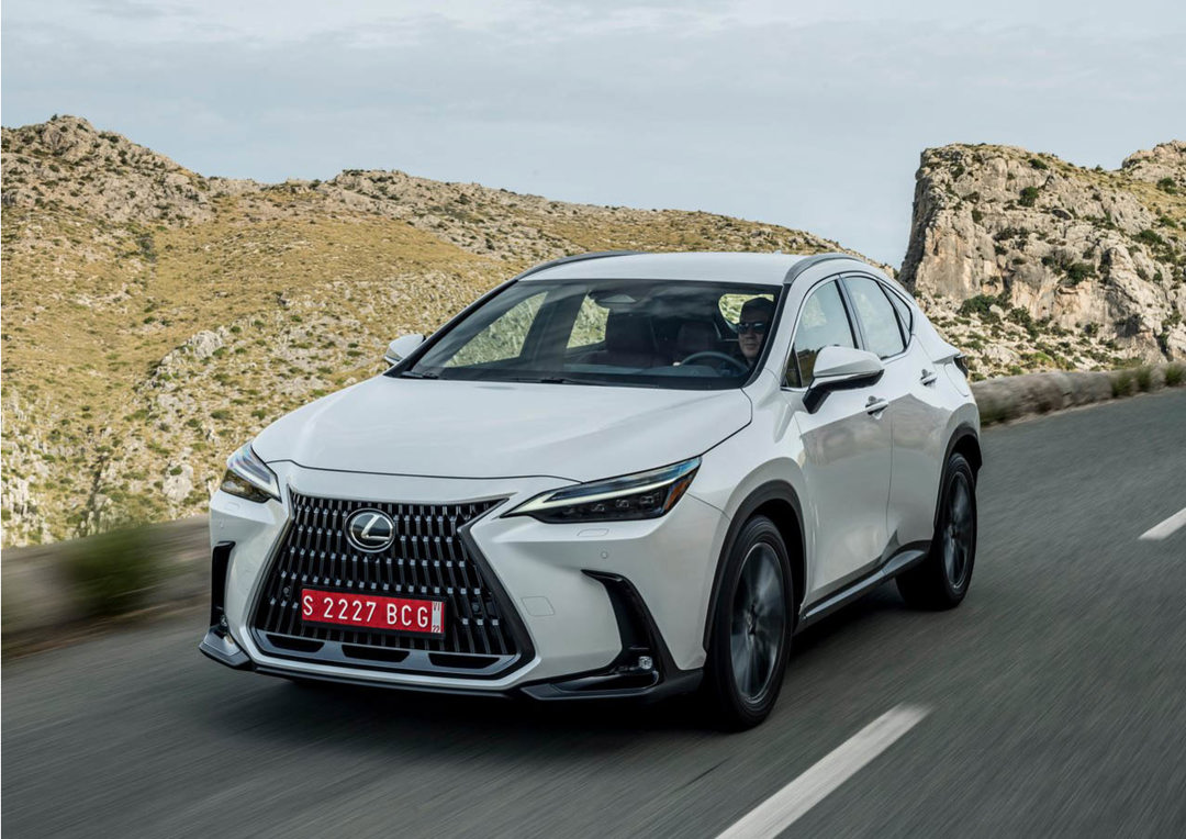 Lexus NX lease car in white